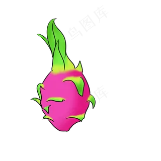 手绘写实水果夏季火龙果