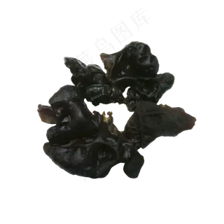 新鲜黑色木耳,免抠元素