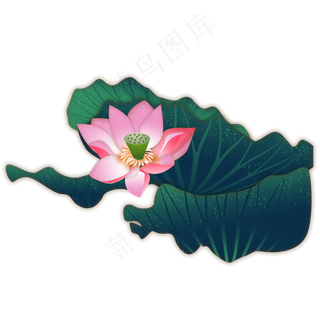 荷花粉荷清新荷叶