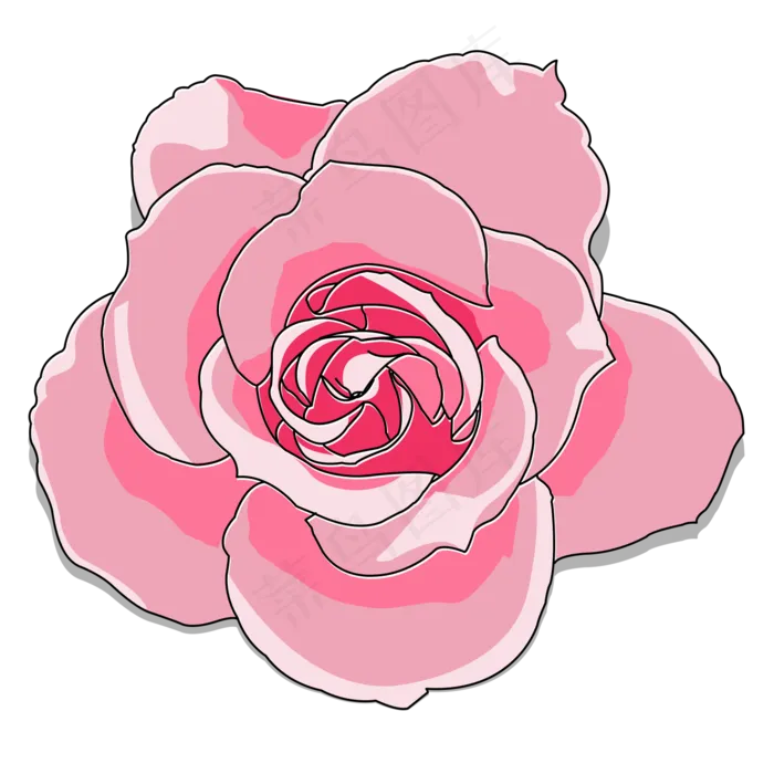 粉色浪漫情人节七夕花朵玫瑰花(1500X1500(DPI:300))psd模版下载