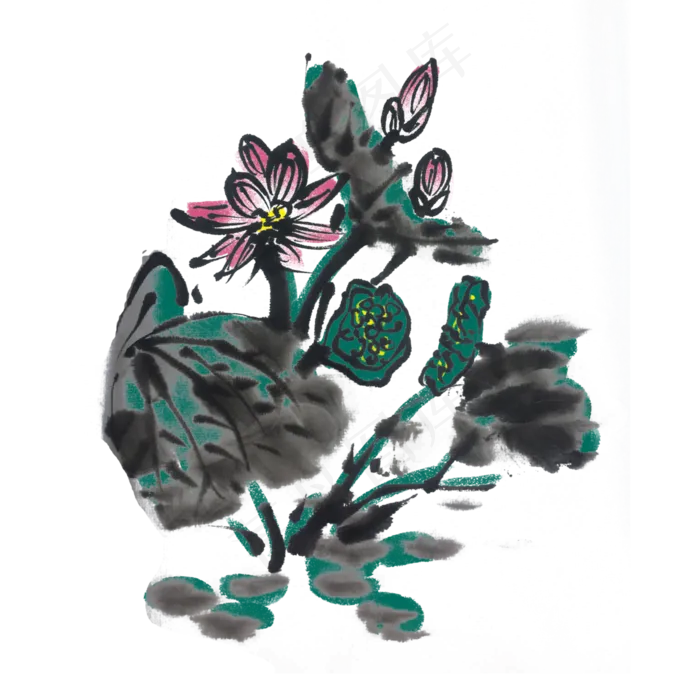 水墨重彩荷花手绘(4000X4000(DPI:300))psd模版下载