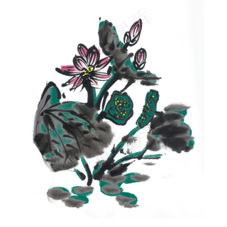 水墨重彩荷花手绘