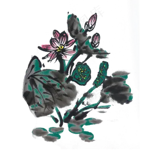 水墨重彩荷花手绘