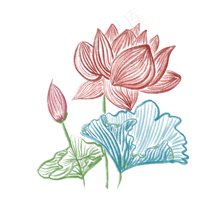 简约水彩荷花免抠创意插图