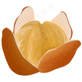 桔子清新味道水果橘色