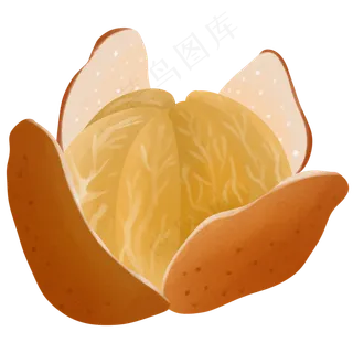 桔子清新味道水果橘色