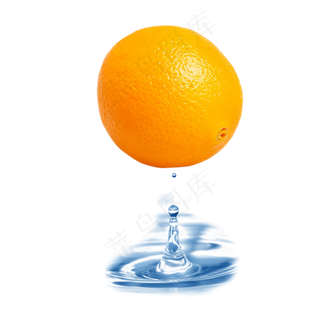 水果脐橙组合图