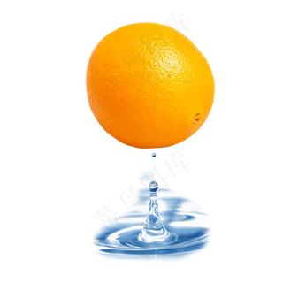 水果脐橙组合图