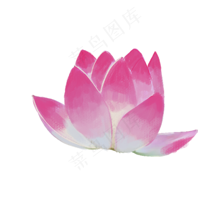 彩色荷花装饰元素(2000X2000(DPI:300))psd模版下载
