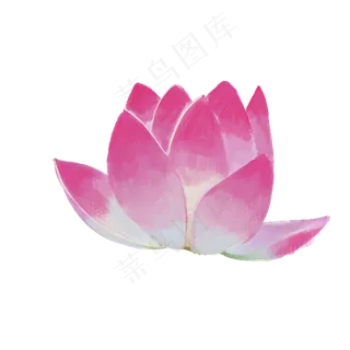 彩色荷花装饰元素