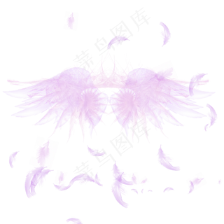 时尚翅膀羽毛设计素材,免抠元素