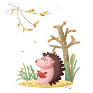 秋天秋日动物刺猬秋景植物,免抠元素