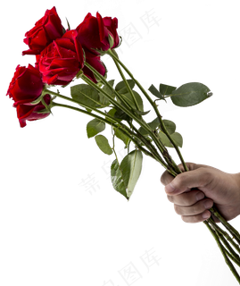 手拿红玫瑰