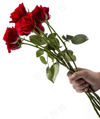手拿红玫瑰