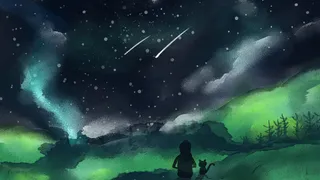 唯美星空下的少女与猫