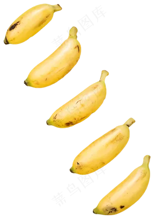 香蕉水果