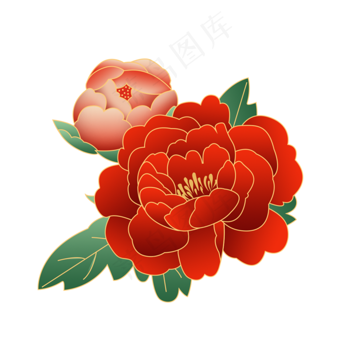 花卉鲜花牡丹花