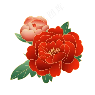 花卉鲜花牡丹花 花卉鲜花牡丹花