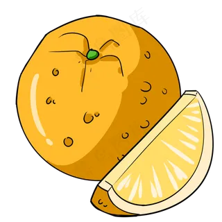 手绘新鲜的橙子 手绘新鲜的橙子