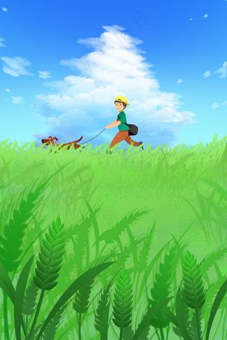 小满稻谷节日节气