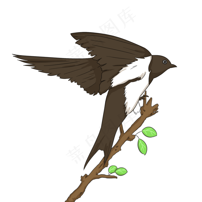 春分燕子手绘插画,免抠元素