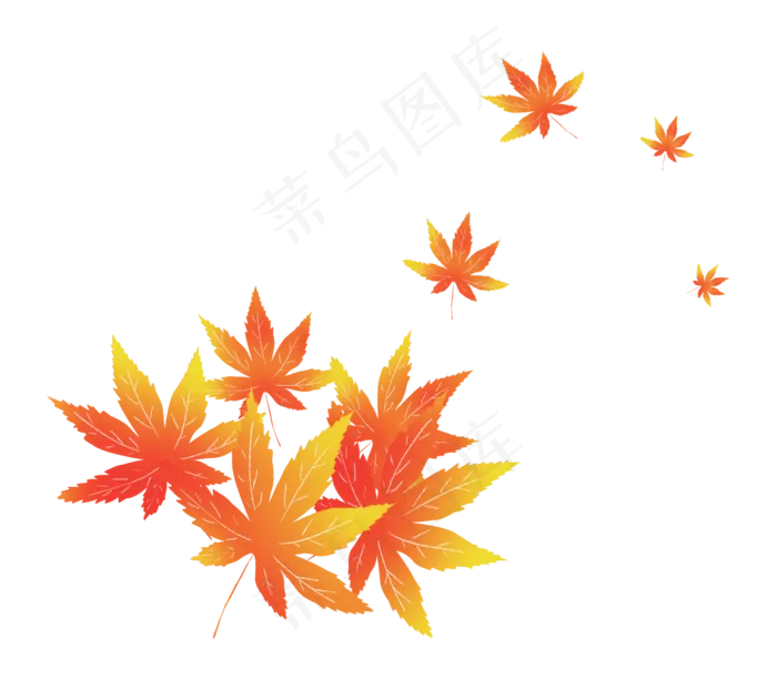 枫叶树叶落叶秋天,免抠元素(2661*2362px 300 dpi )psd模版下载