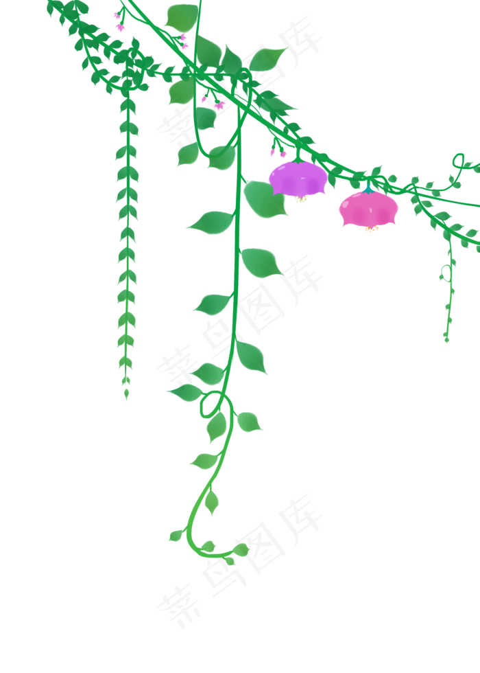 绿色的藤蔓花藤插画