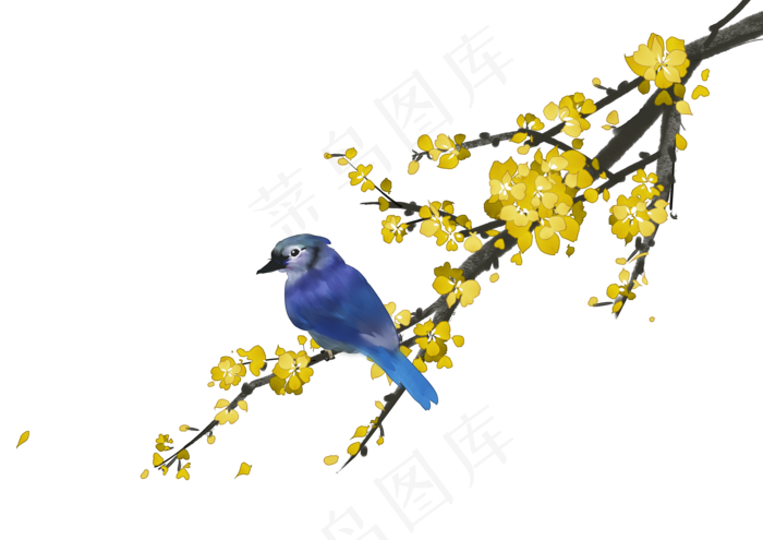 中国风水彩手绘花鸟,免抠元素(3507X2480(DPI:300))psd模版下载