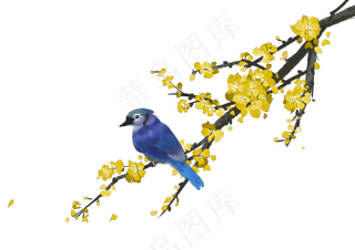 中国风水彩手绘花鸟,免抠元素
