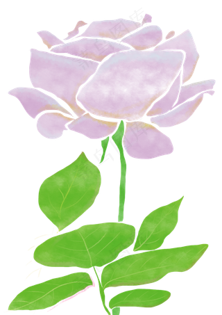 七夕节水彩玫瑰png