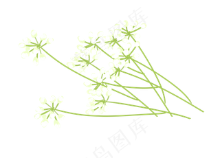 手绘小清新美丽花朵装饰,免抠元素