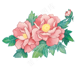 水彩冷色调牡丹花免抠图