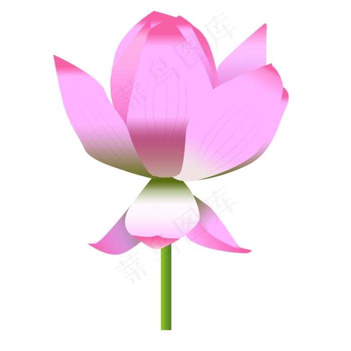 红色美丽荷花免抠图