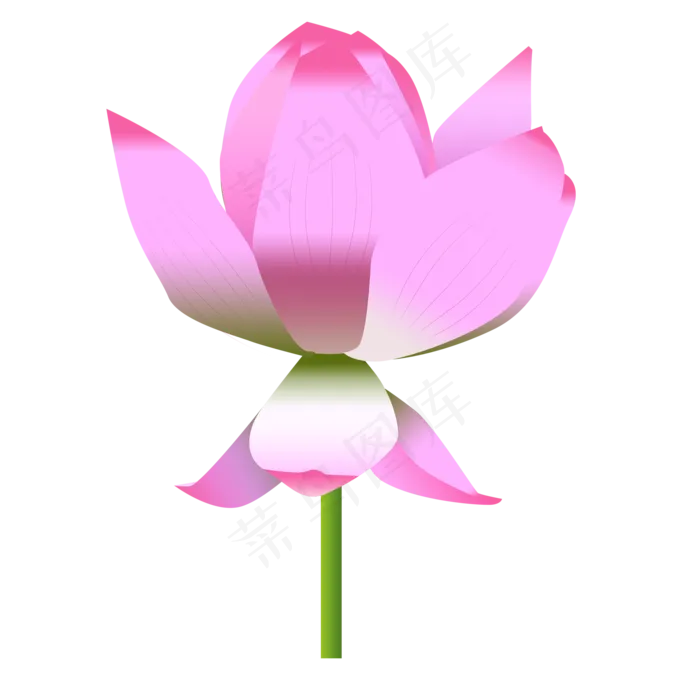 红色美丽荷花免抠图(2000X2000(DPI:300))psd模版下载