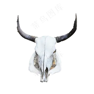 白色山羊头骨,免抠元素