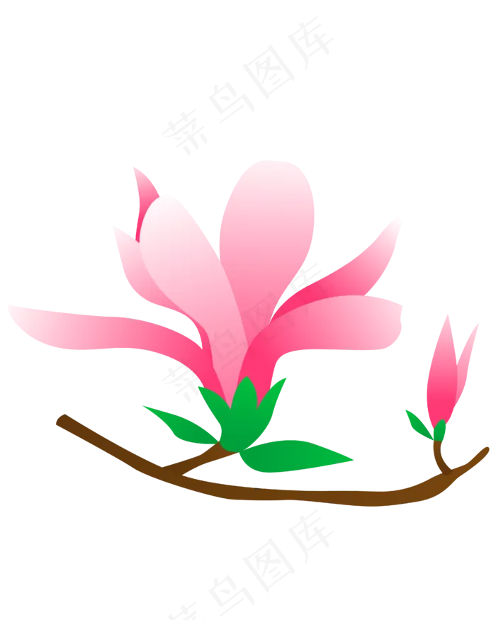 矢量免扣卡通玉兰花,免抠元素(4167*5208px 300 dpi )ai矢量模版下载