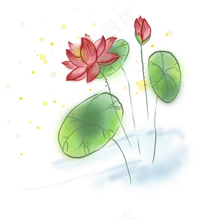 中国风水墨荷花和莲叶