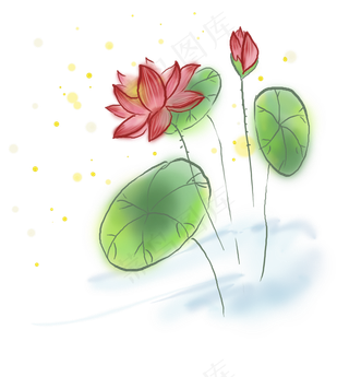 中国风水墨荷花和莲叶