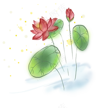 中国风水墨荷花和莲叶