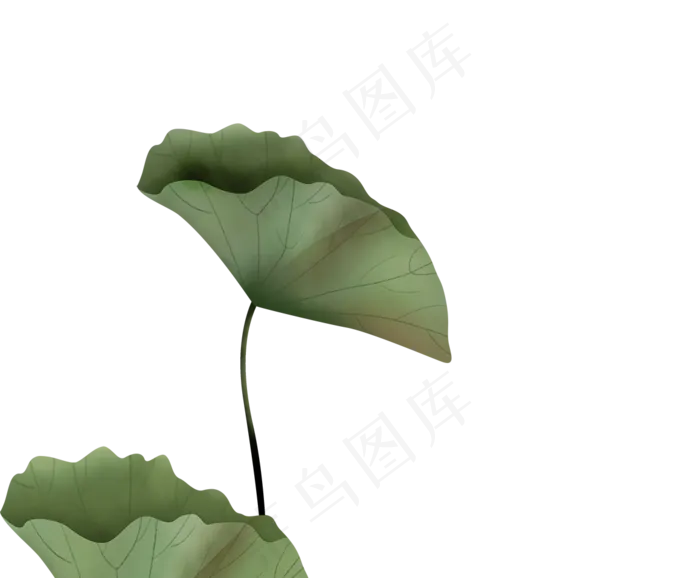 工笔画荷叶(1159X957(DPI:72))psd模版下载