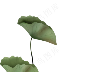 工笔画荷叶