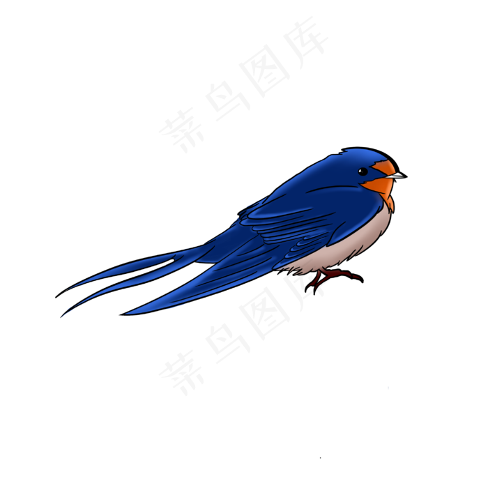 手绘春天的燕子插画