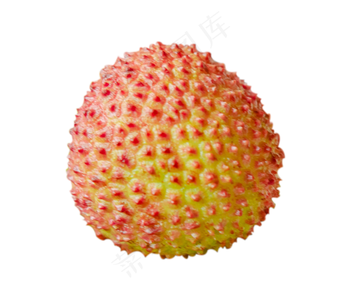一颗荔枝,免抠元素
