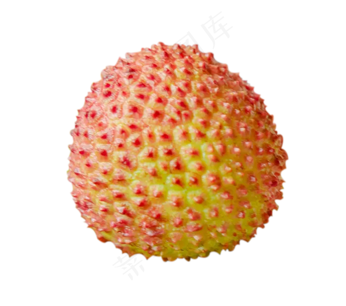 一颗荔枝,免抠元素(1140X1009(DPI:300))psd模版下载