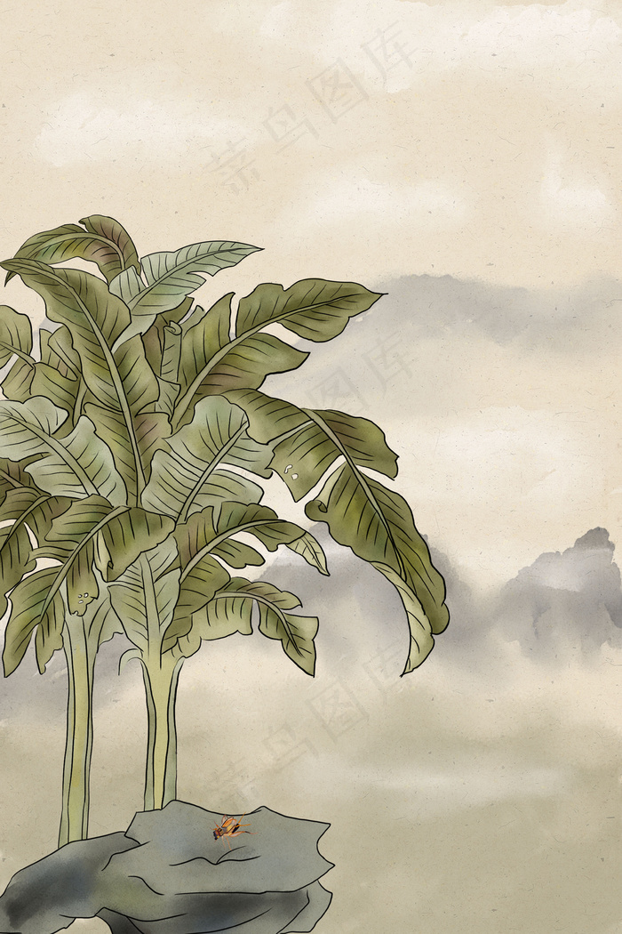 国画工笔芭蕉树和山石