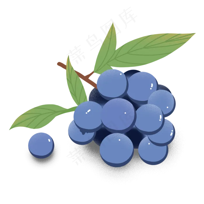 黑色生鲜葡萄提子(2000*2000px 72 dpi )psd模版下载