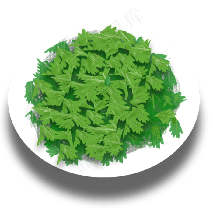 一盘绿色香菜(2000X2000(DPI:300))psd模版下载