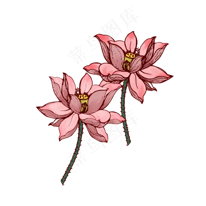 粉色莲花荷塘荷花(2000X2000(DPI:299))psd模版下载