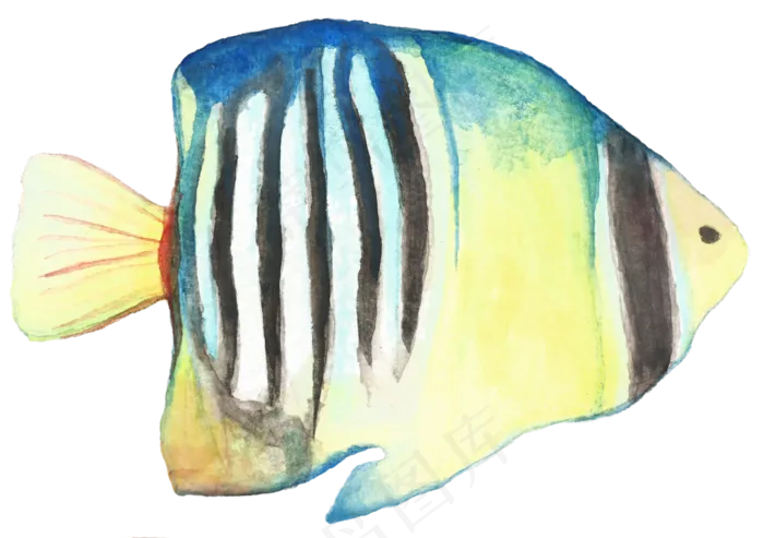 卡通手绘水彩鱼素材ai矢量模版下载