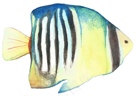 卡通手绘水彩鱼素材
